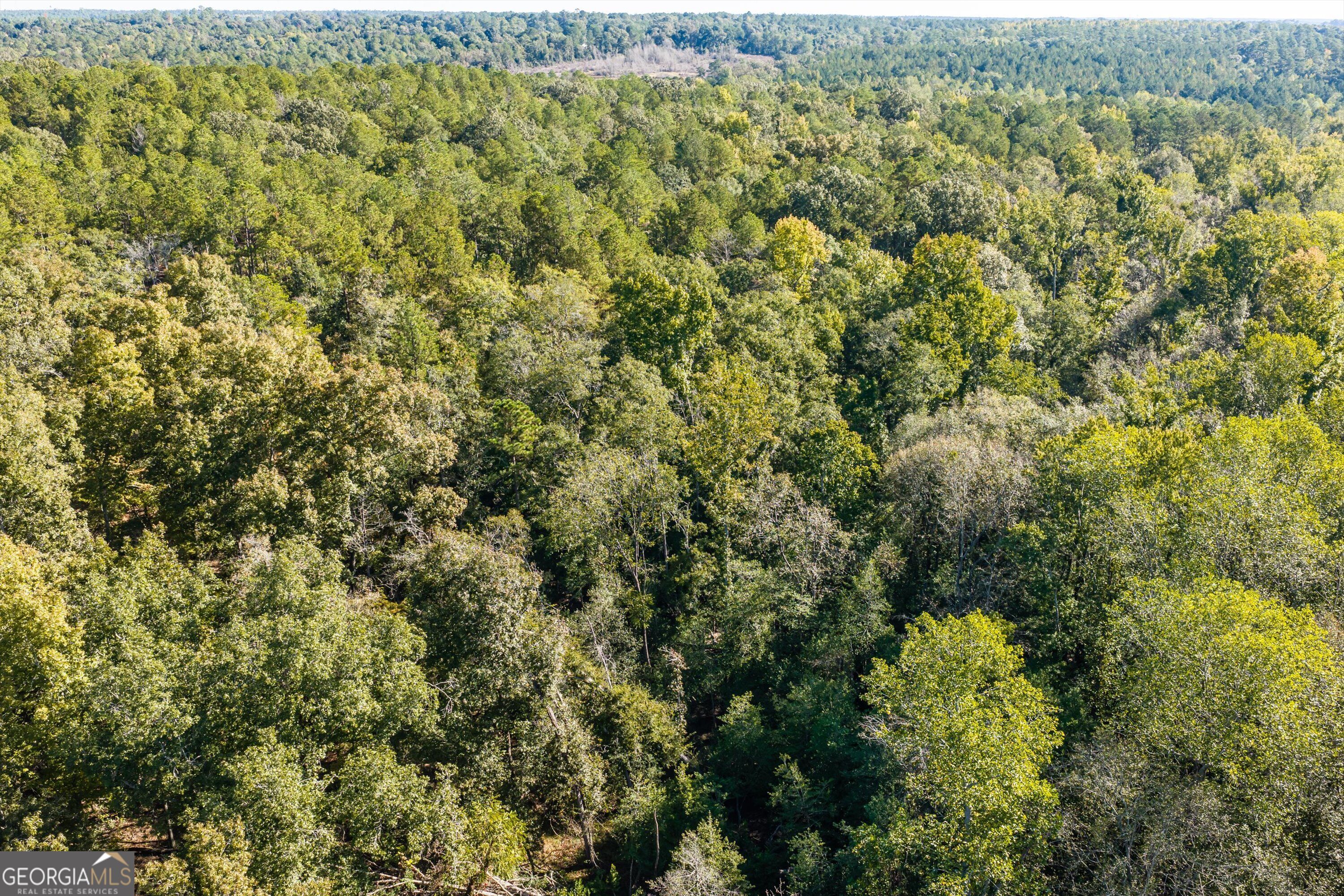 0 Corley Road Hephzibah GA 30815