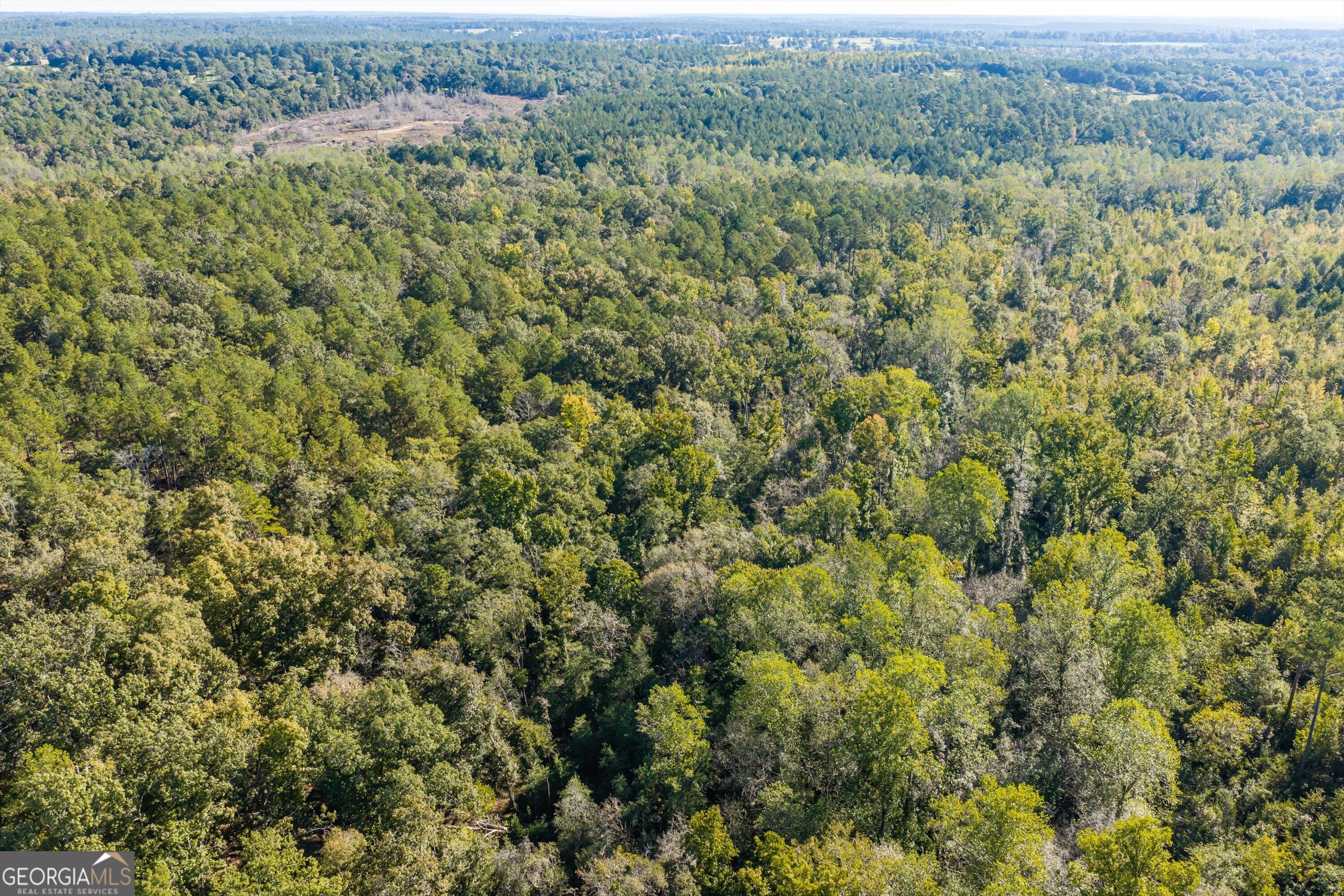 0 Corley Road Hephzibah GA 30815
