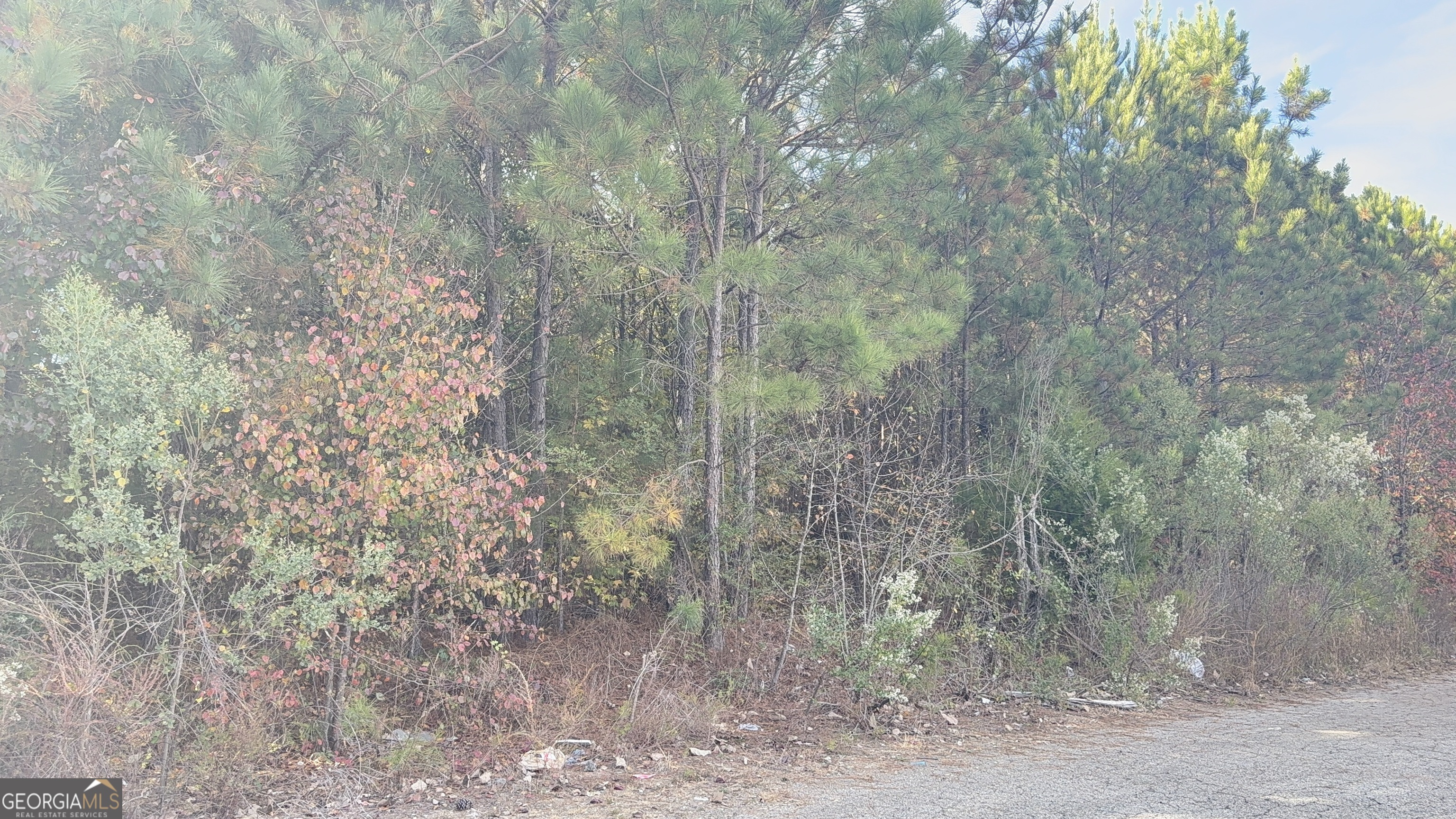 8652 Webb Road Riverdale GA 30274
