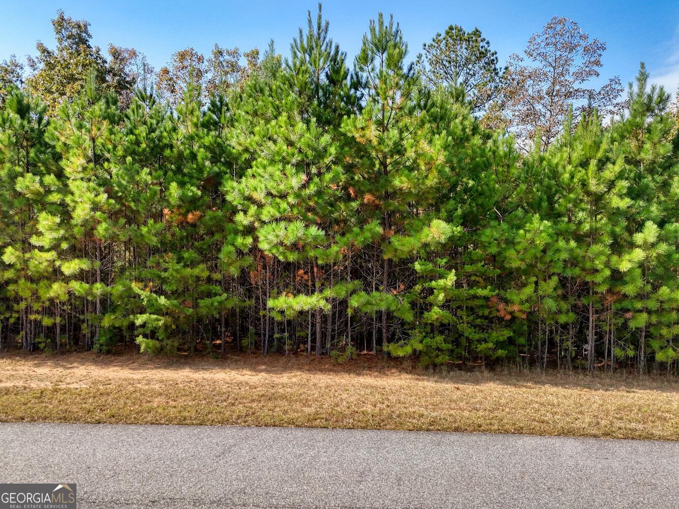 Lot 43 Northshore Lane Blairsville GA 30512
