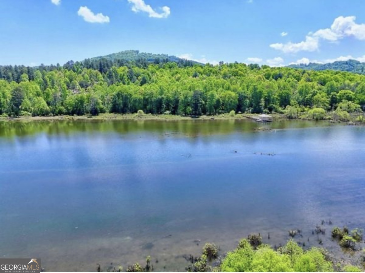 Lot 43 Northshore Lane Blairsville GA 30512