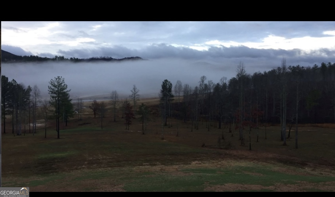 Lot 43 Northshore Lane Blairsville GA 30512