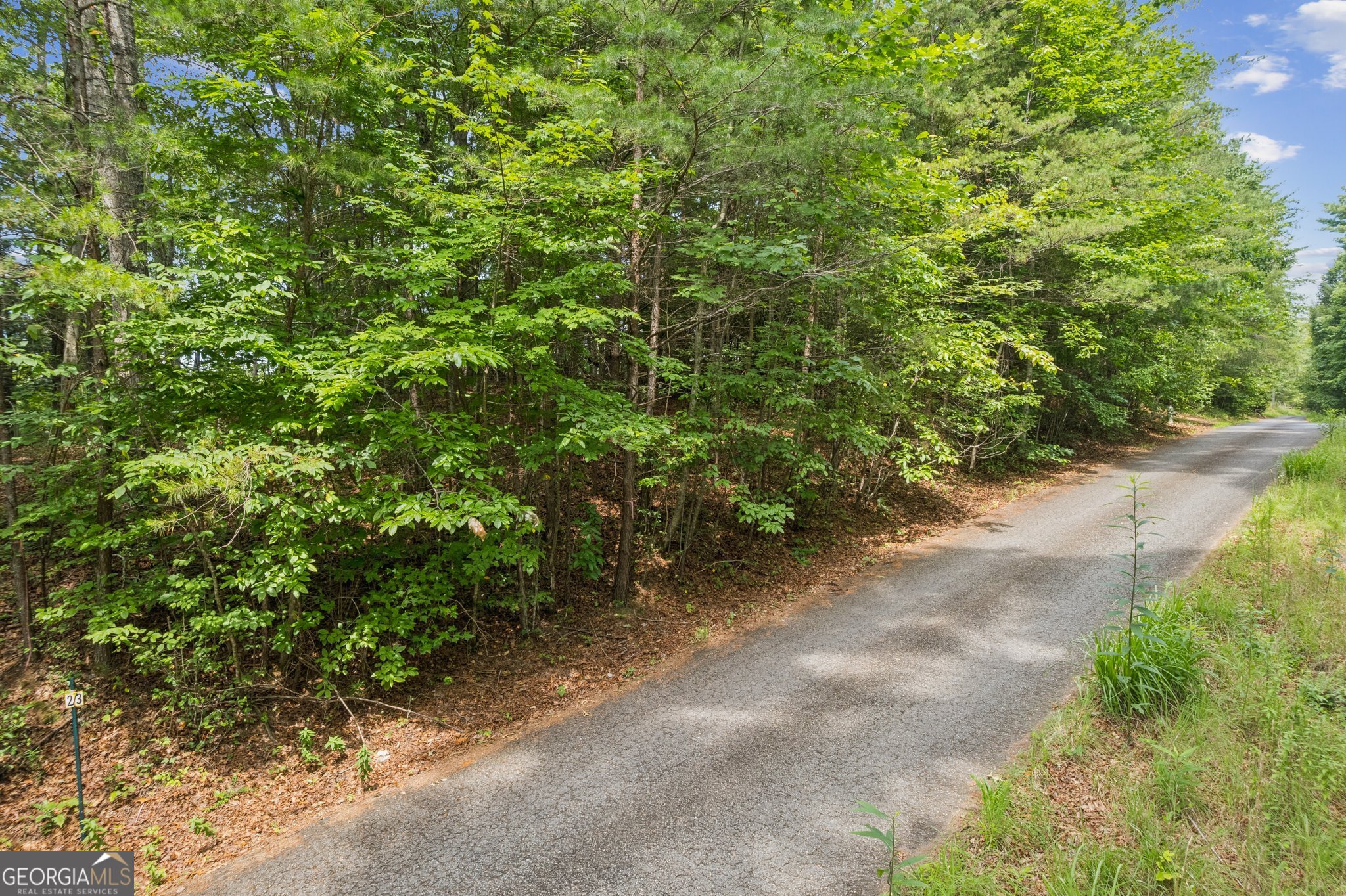 Lot 3 Riverfront Drive Ellijay GA 30536