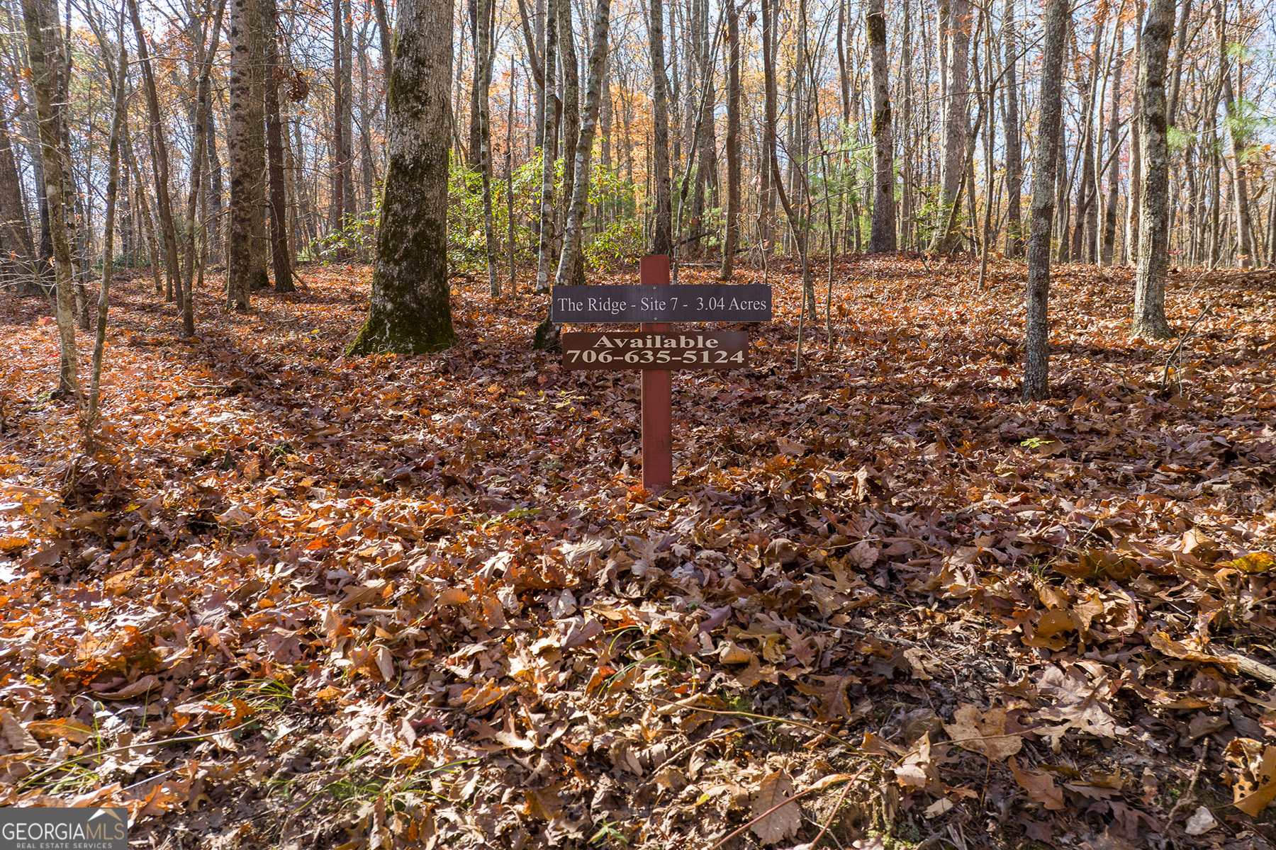 Lot 7 Joseph Anderson Trail Ellijay GA 30536