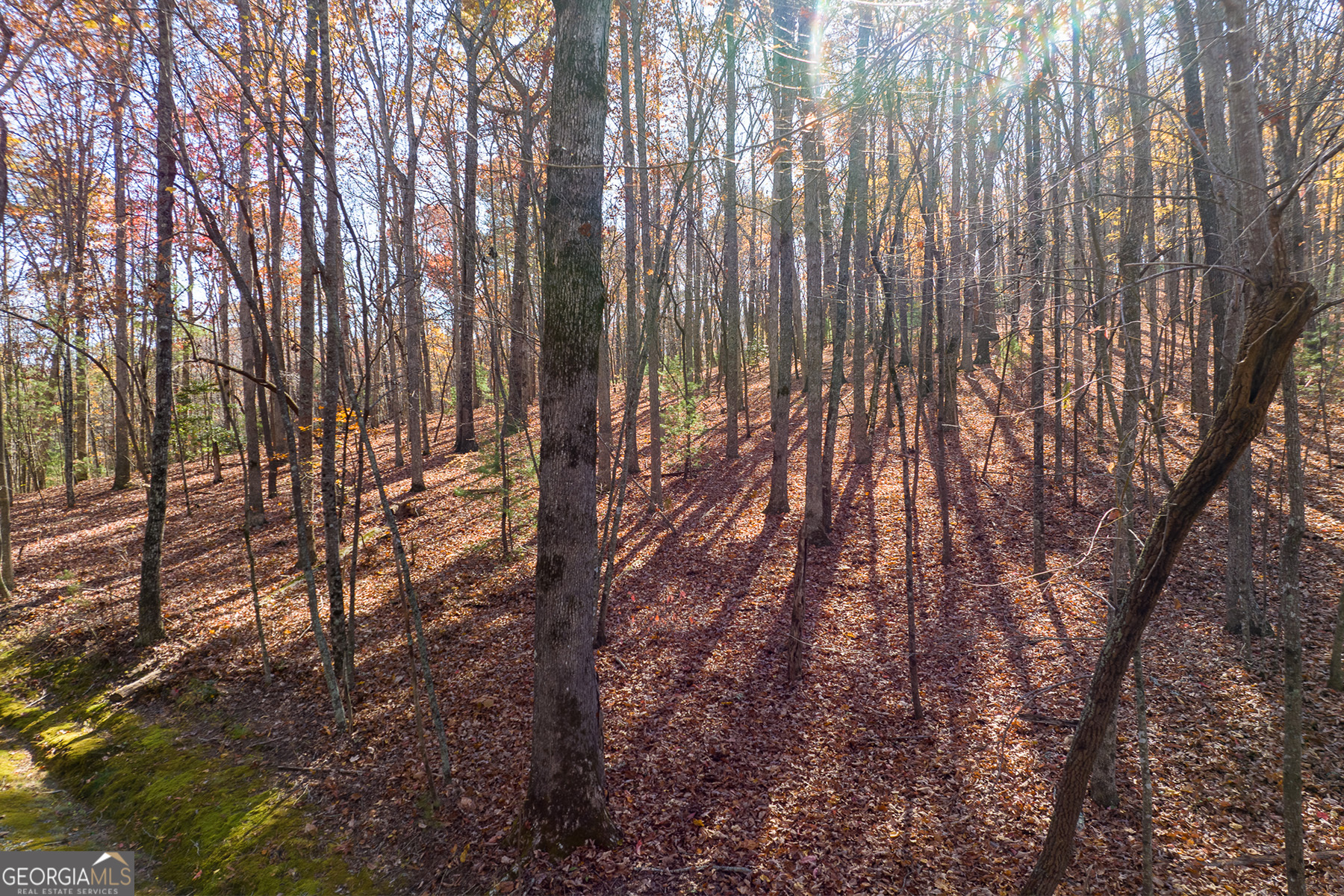 Lot 7 Joseph Anderson Trail Ellijay GA 30536