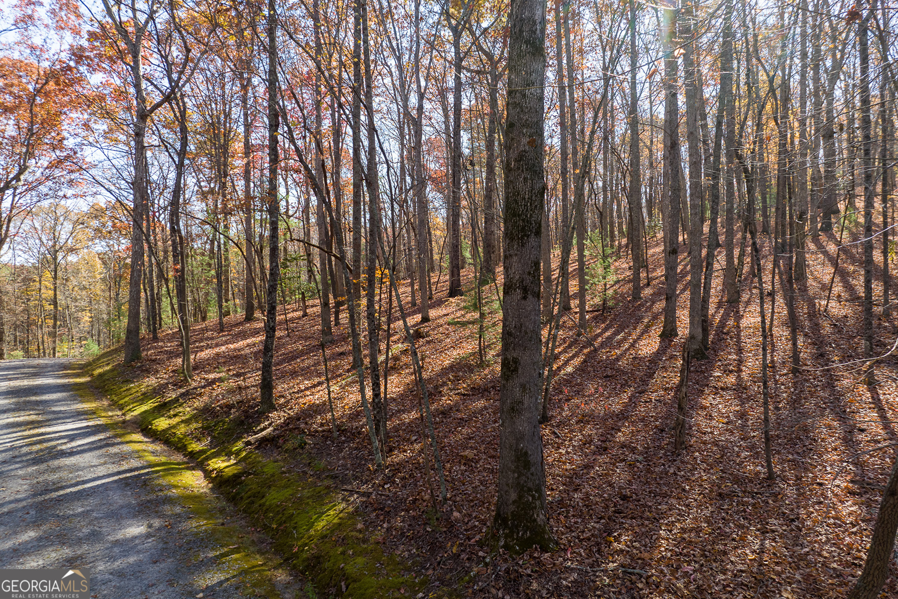 Lot 7 Joseph Anderson Trail Ellijay GA 30536