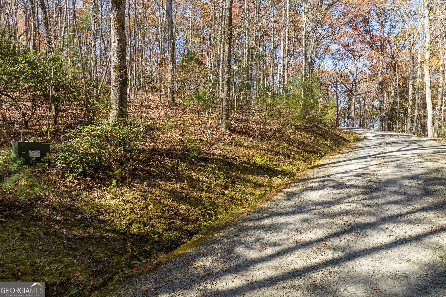 Lot 7 Joseph Anderson Trail Ellijay GA 30536