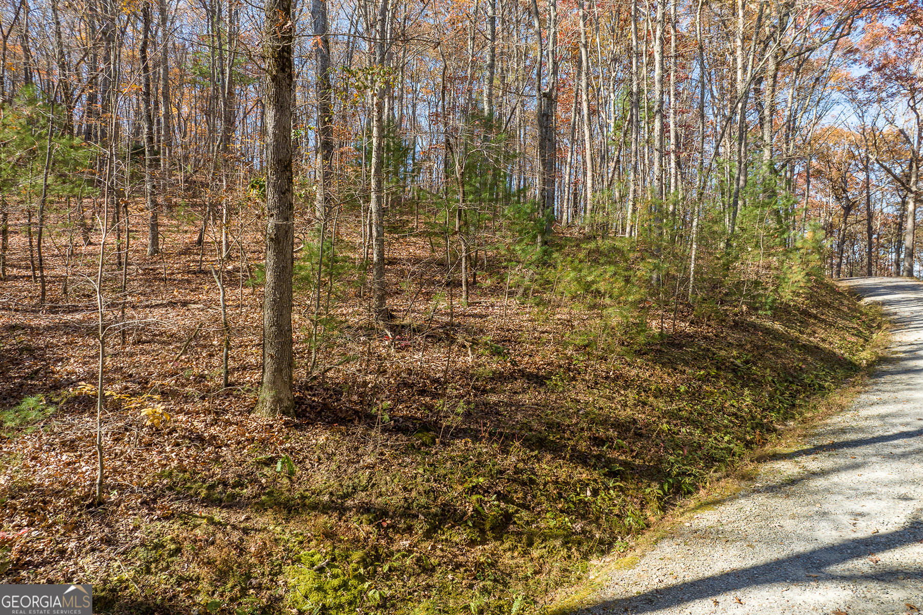 Lot 7 Joseph Anderson Trail Ellijay GA 30536