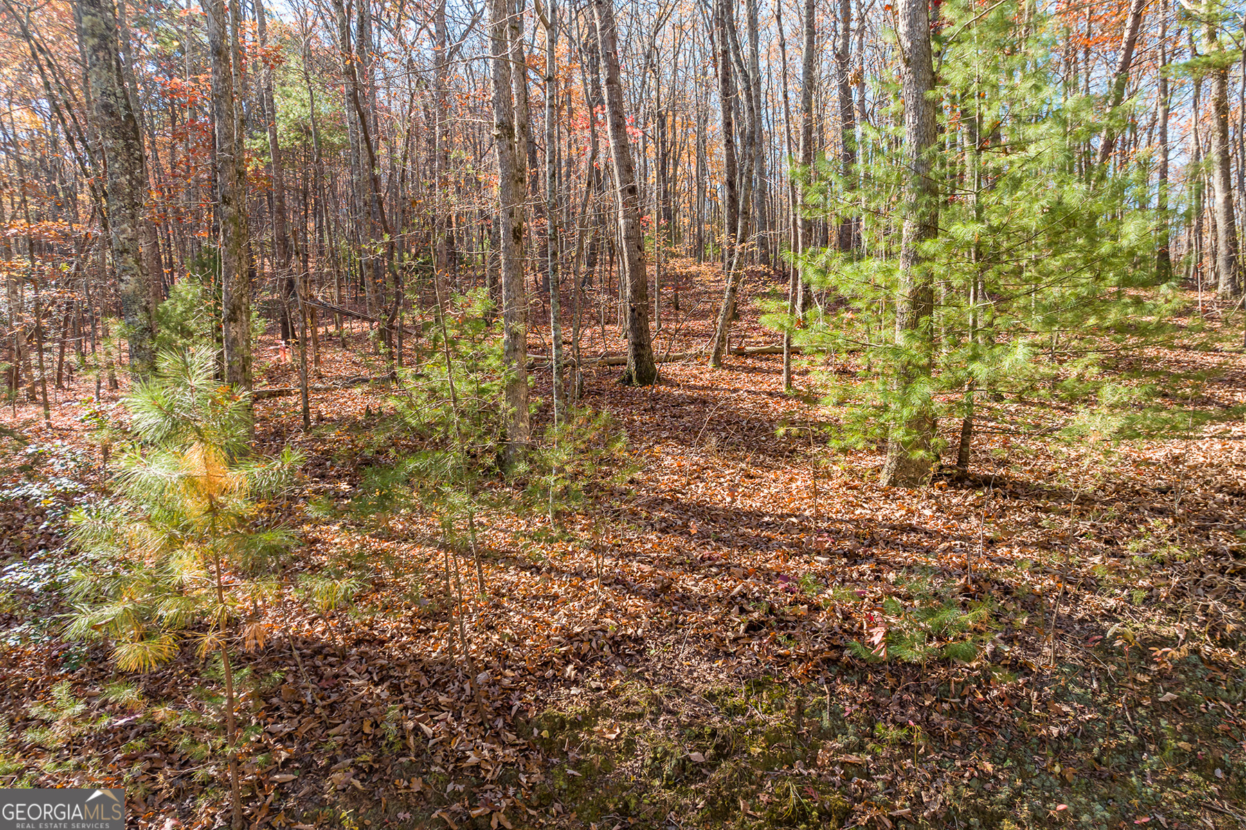 Lot 7 Joseph Anderson Trail Ellijay GA 30536