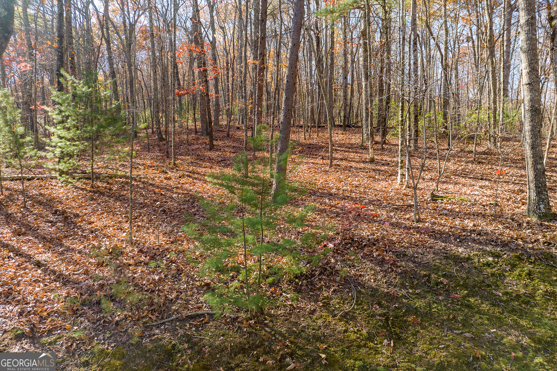 Lot 7 Joseph Anderson Trail Ellijay GA 30536