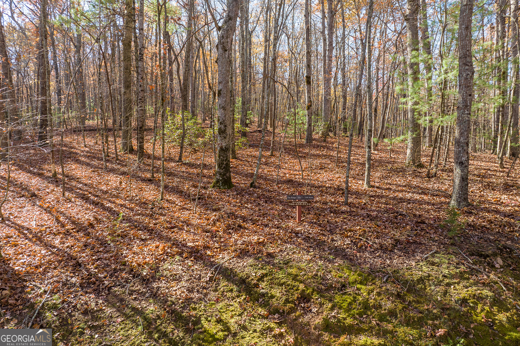 Lot 7 Joseph Anderson Trail Ellijay GA 30536