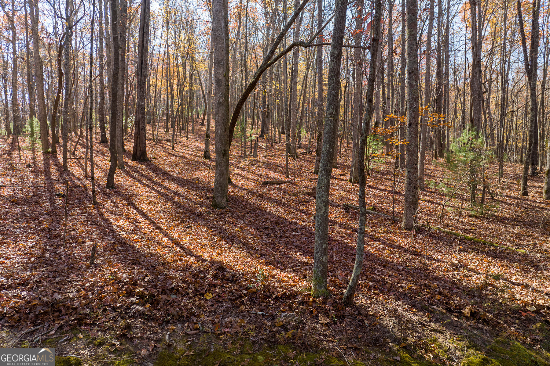 Lot 7 Joseph Anderson Trail Ellijay GA 30536