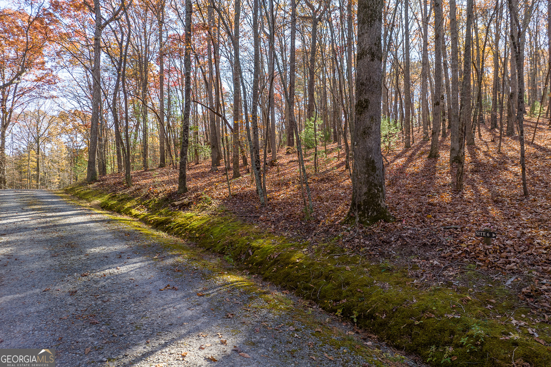 Lot 7 Joseph Anderson Trail Ellijay GA 30536