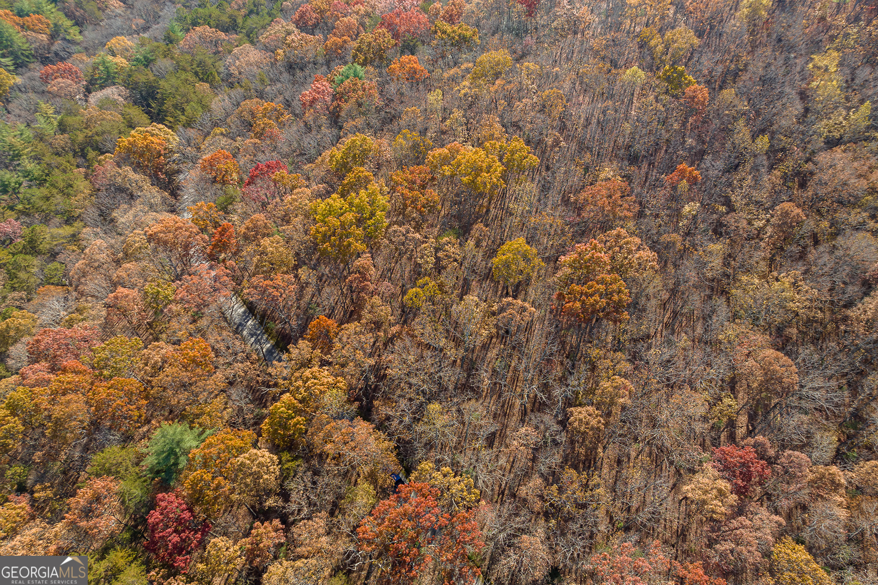 Lot 7 Joseph Anderson Trail Ellijay GA 30536