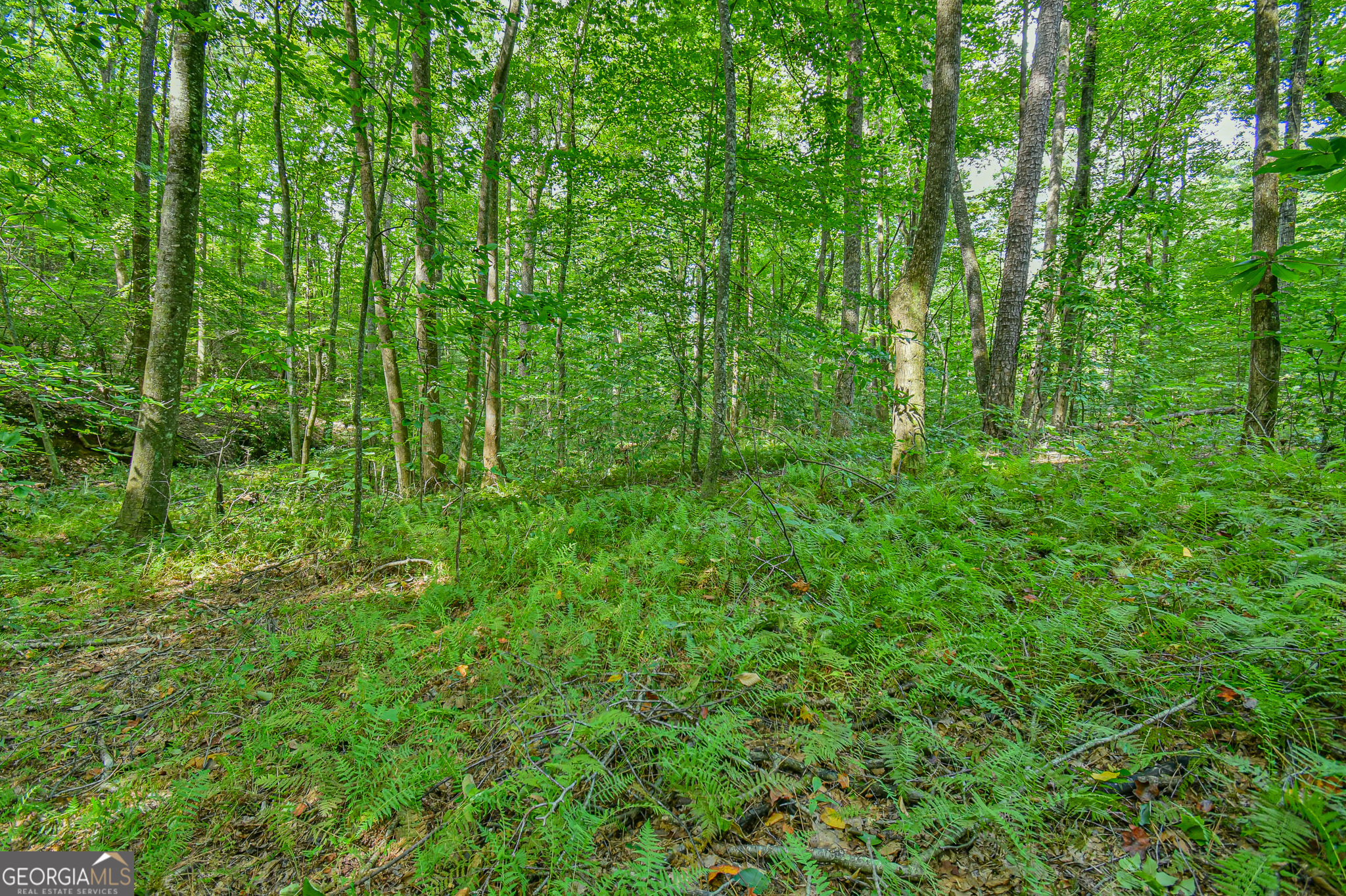 0 Orchard Lane Talking Rock GA 30175