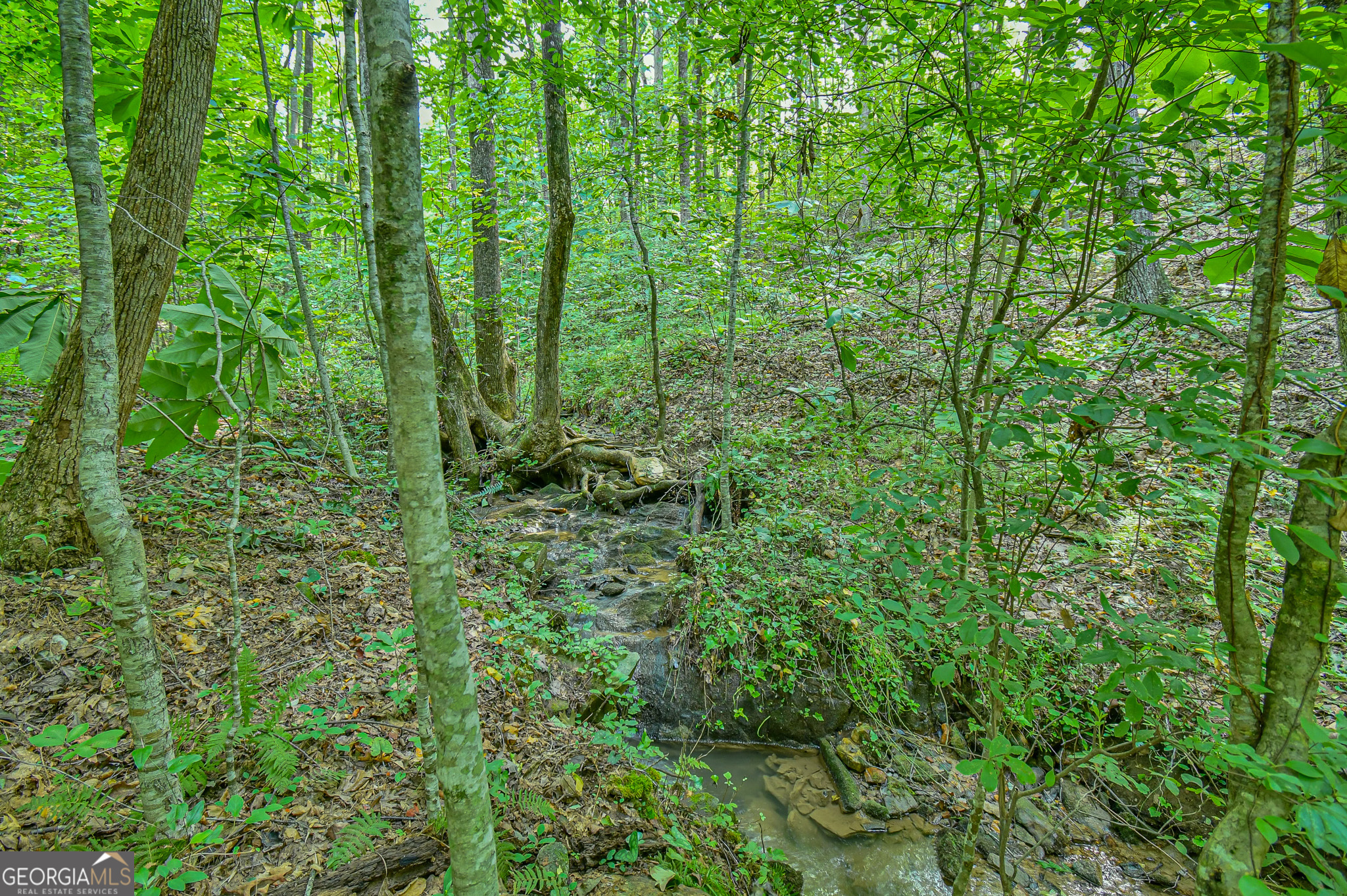 0 Orchard Lane Talking Rock GA 30175