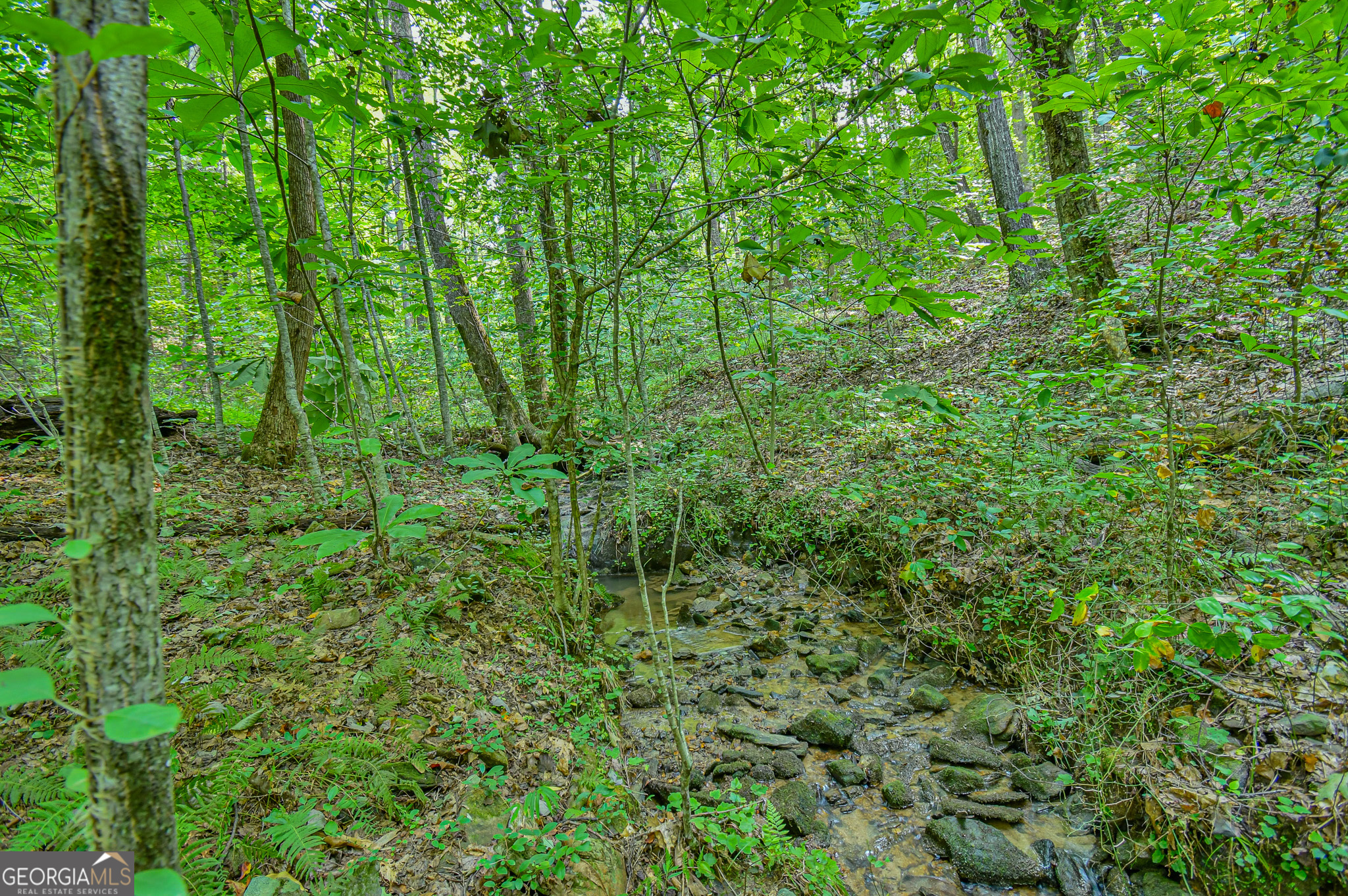 0 Orchard Lane Talking Rock GA 30175
