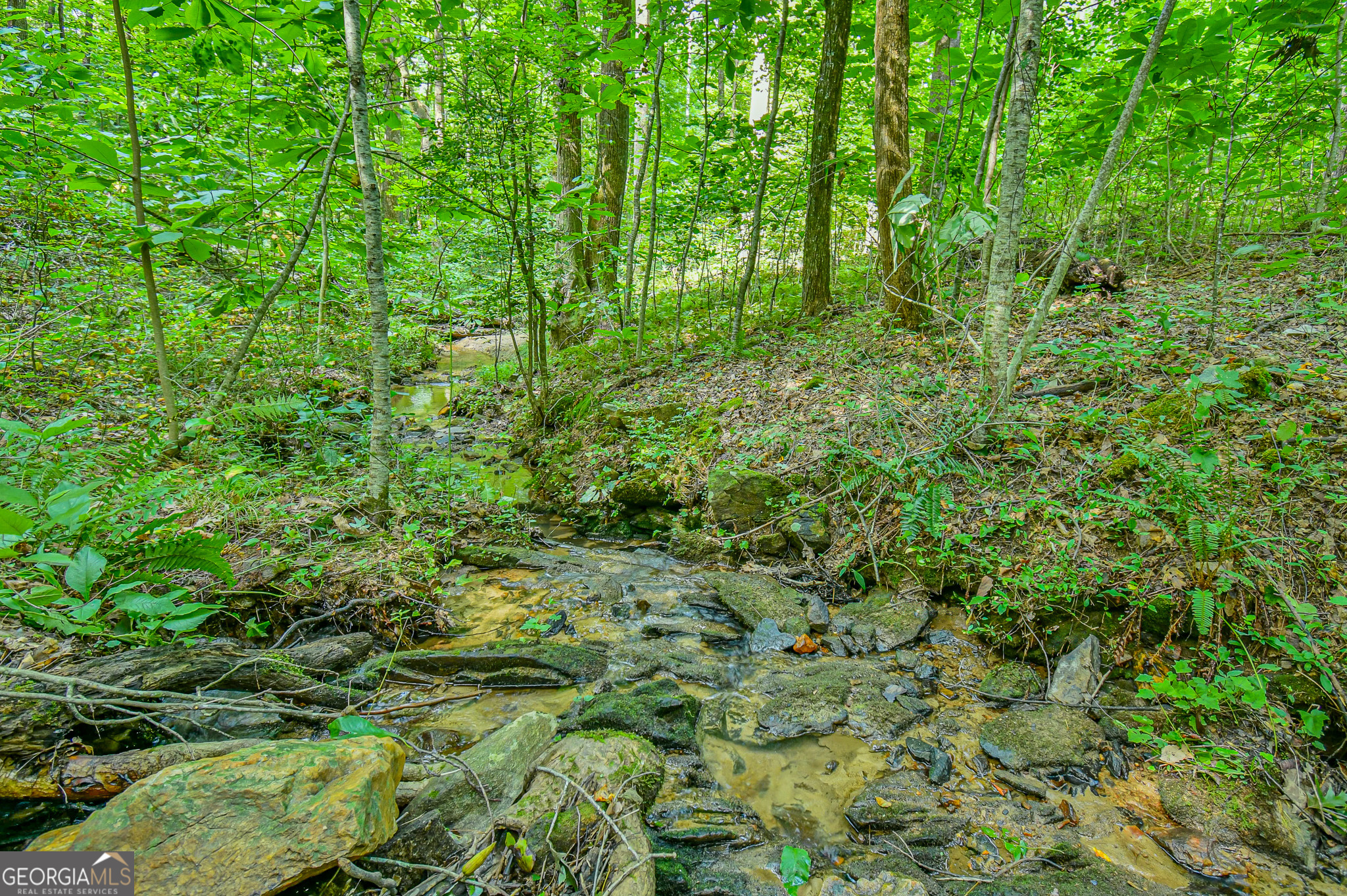 0 Orchard Lane Talking Rock GA 30175