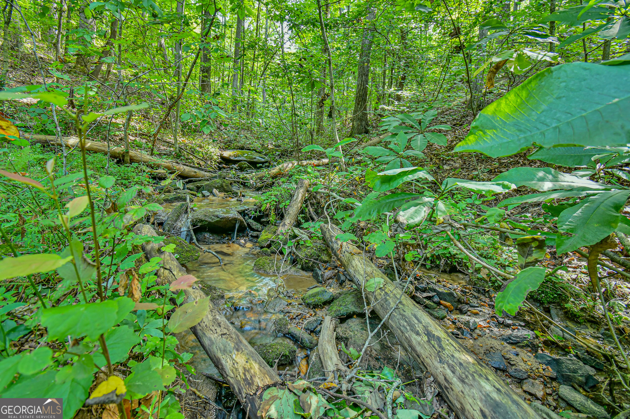 0 Orchard Lane Talking Rock GA 30175