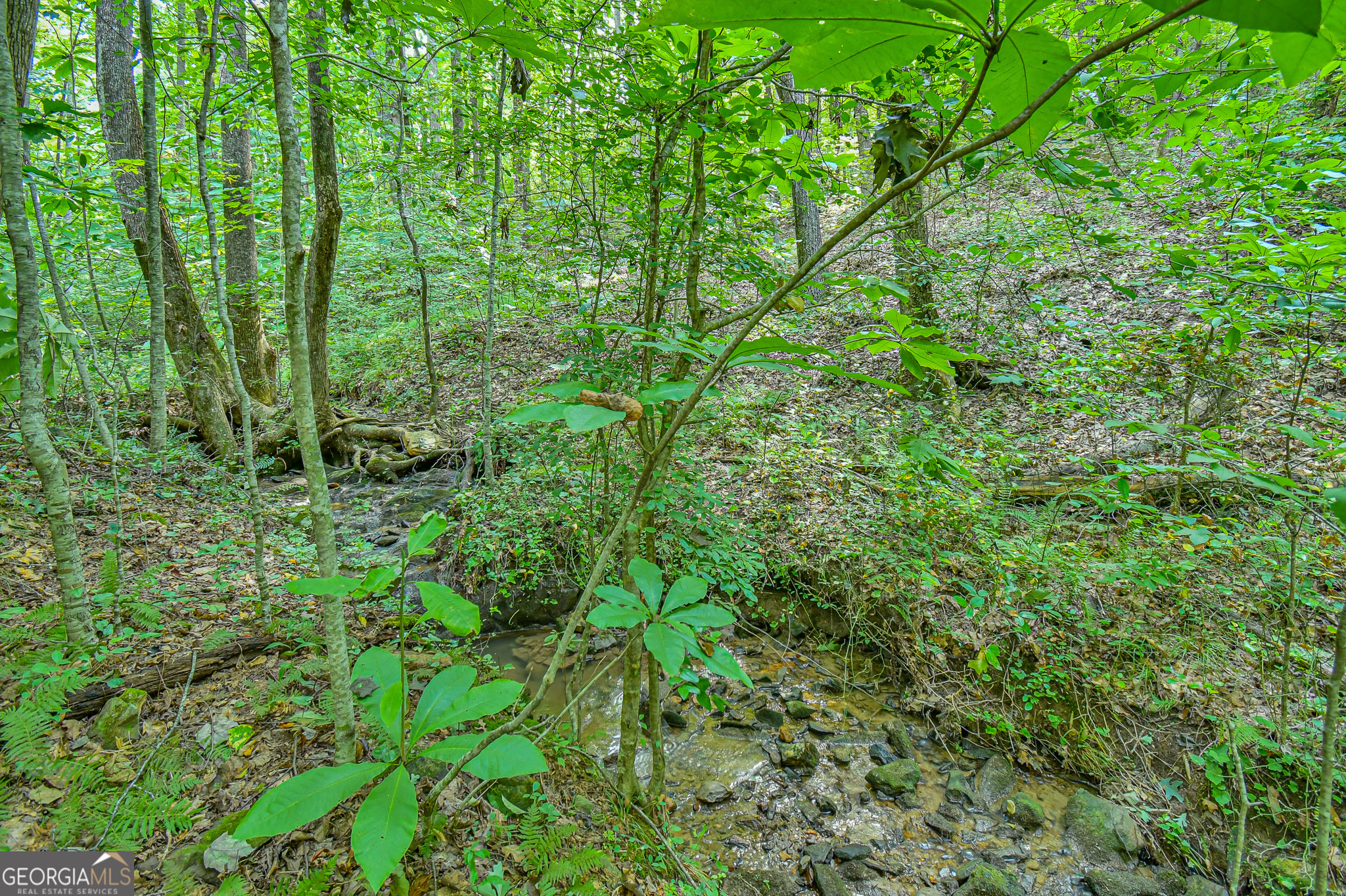 0 Orchard Lane Talking Rock GA 30175