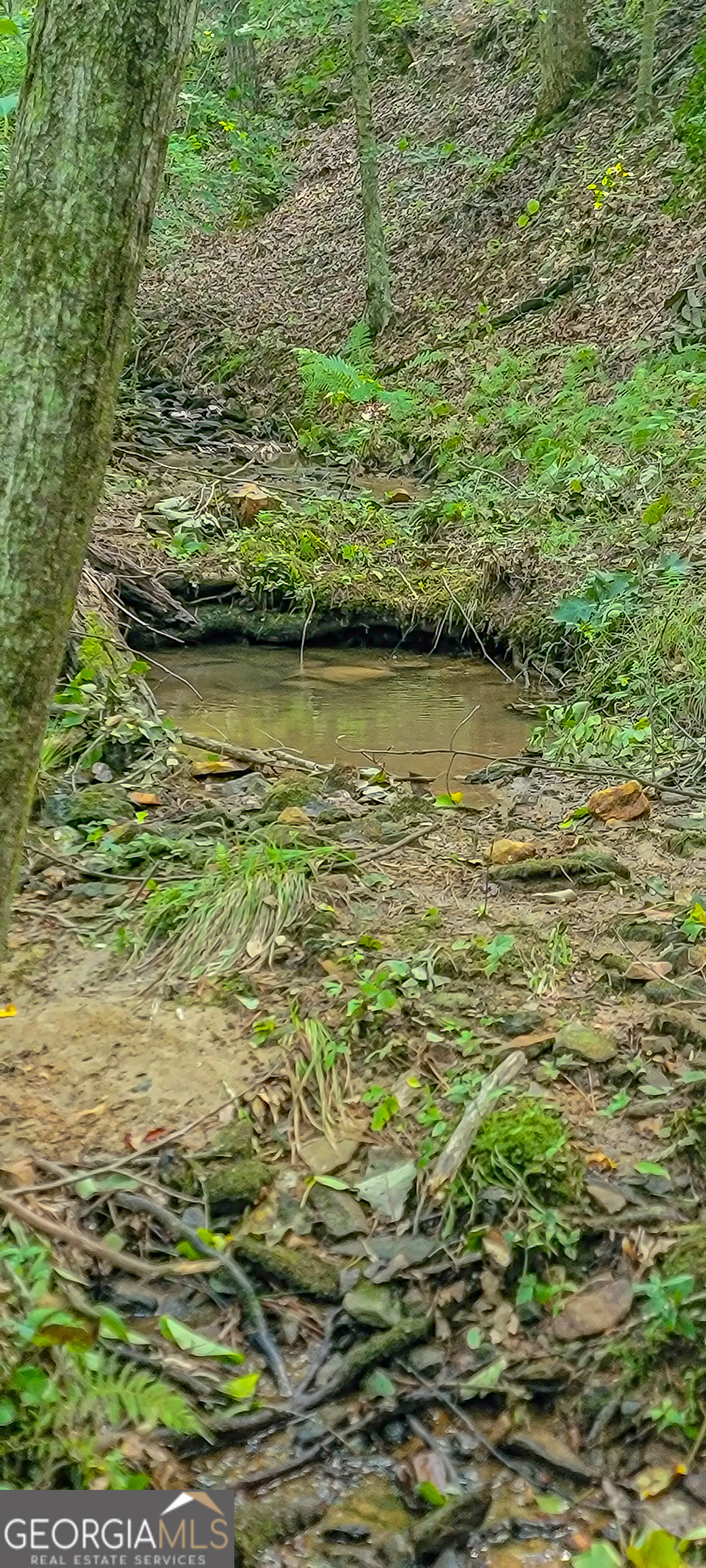 0 Orchard Lane Talking Rock GA 30175