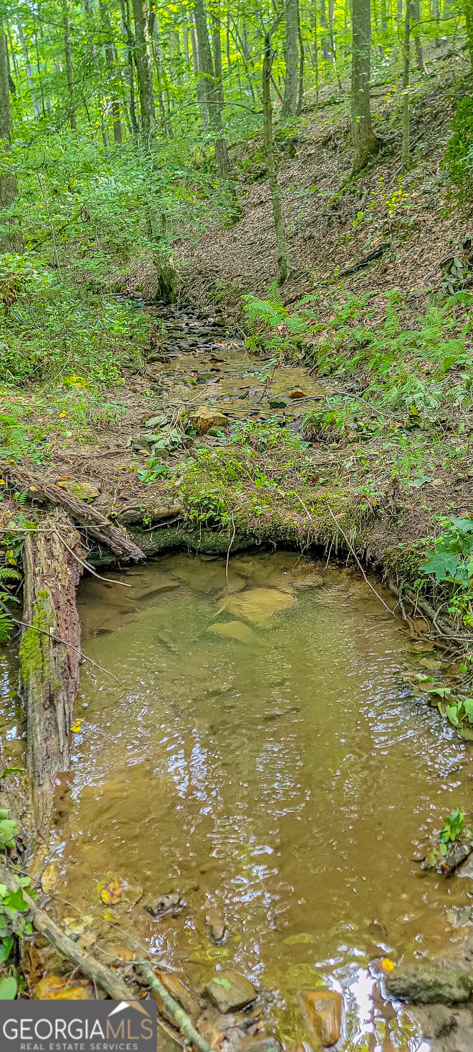0 Orchard Lane Talking Rock GA 30175