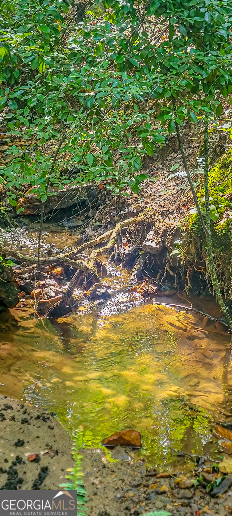 0 Orchard Lane Talking Rock GA 30175