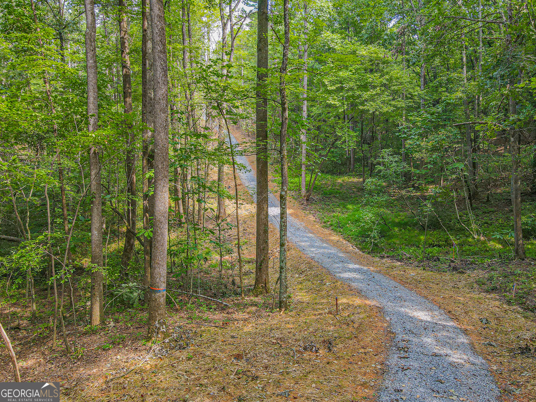 0 Orchard Lane Talking Rock GA 30175
