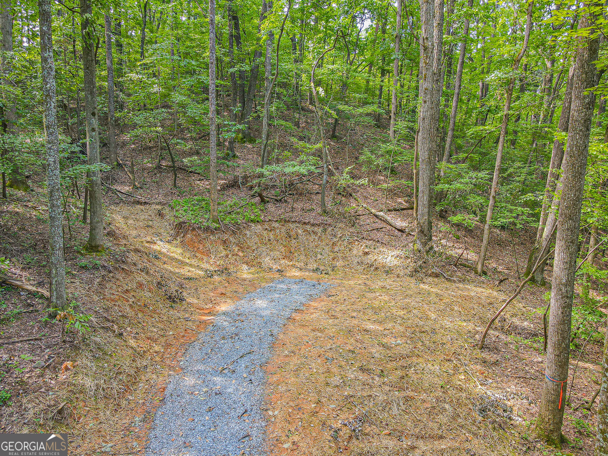 0 Orchard Lane Talking Rock GA 30175