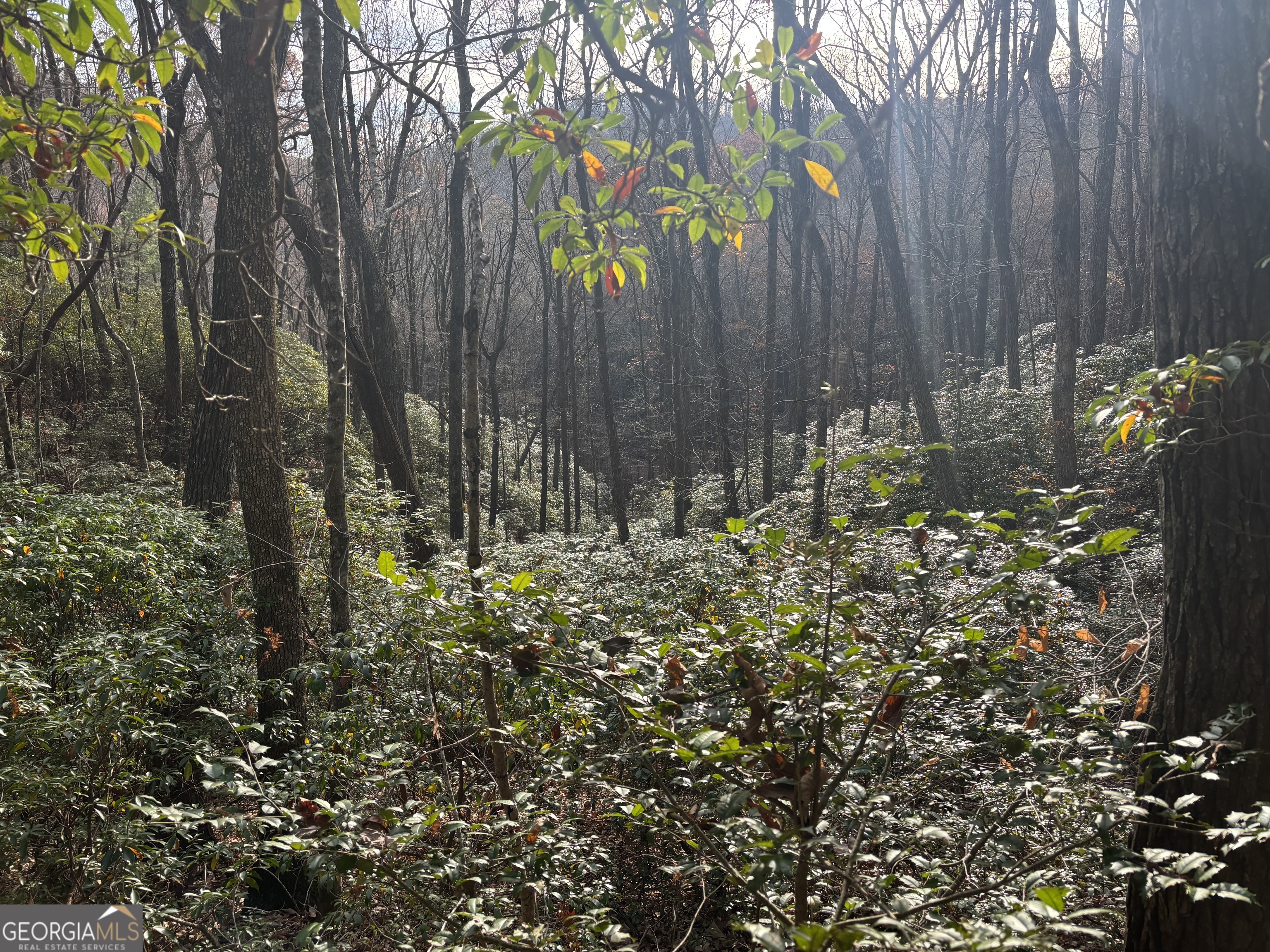 9 65ac Wilkins Cove Road Suches GA 30572