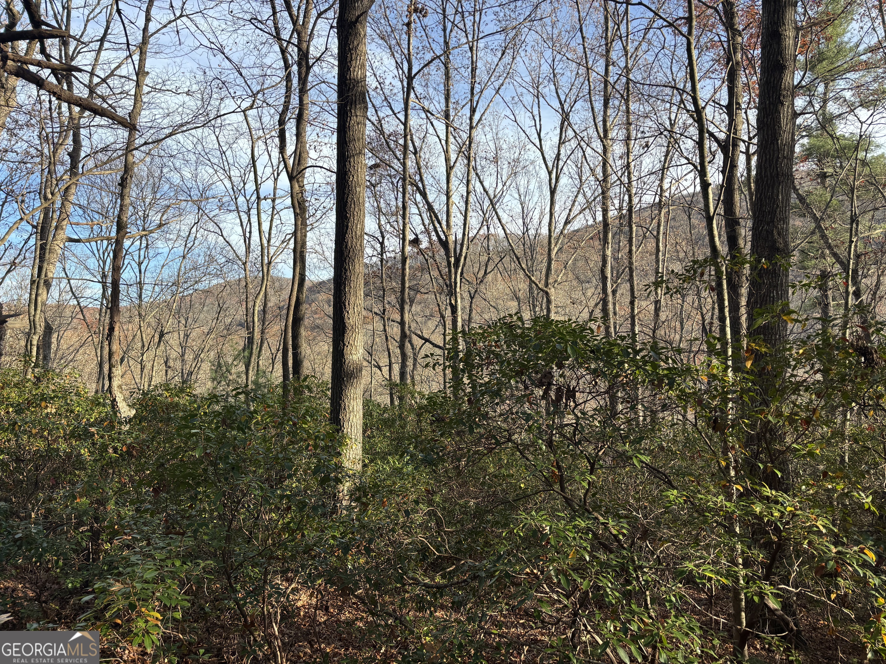 9 65ac Wilkins Cove Road Suches GA 30572