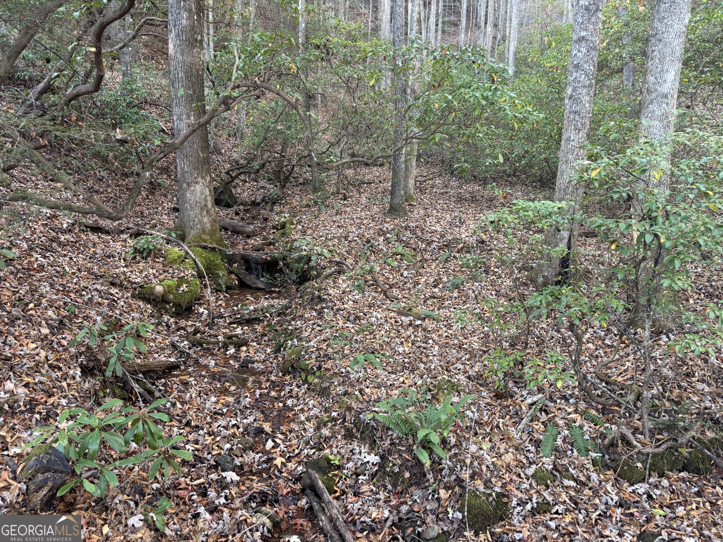 9 65ac Wilkins Cove Road Suches GA 30572