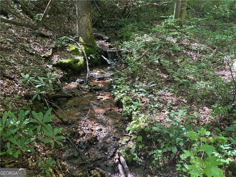 9 65ac Wilkins Cove Road Suches GA 30572