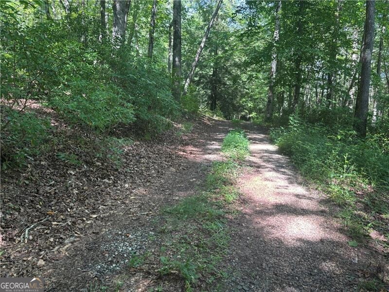 9 65ac Wilkins Cove Road Suches GA 30572