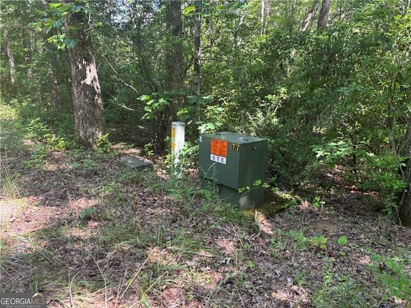 9 65ac Wilkins Cove Road Suches GA 30572