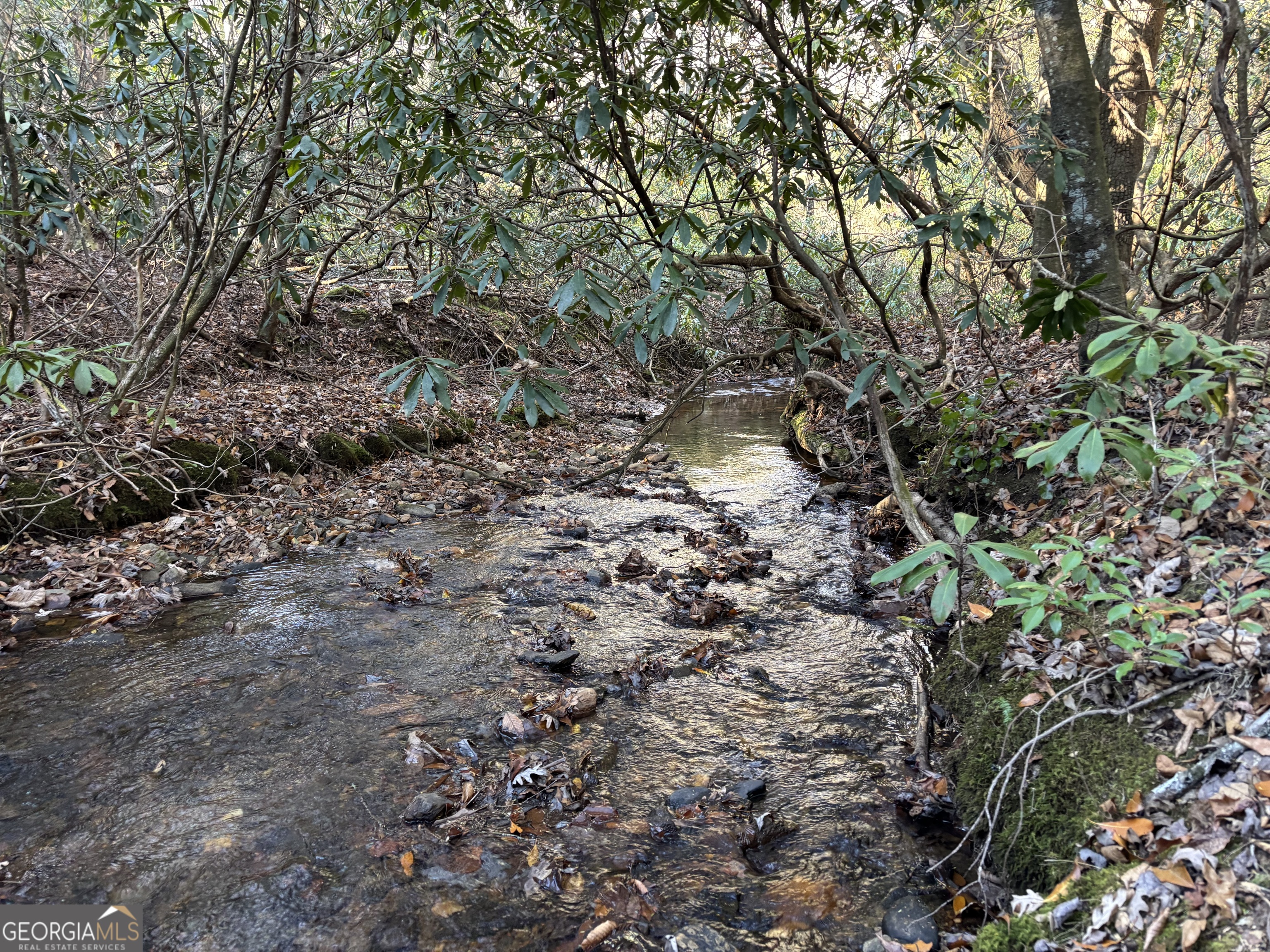 9 65ac Wilkins Cove Road Suches GA 30572