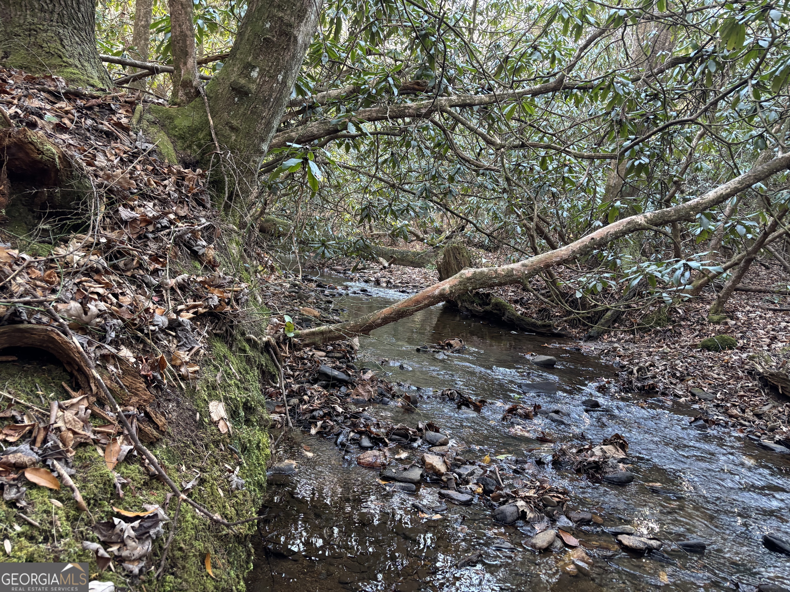 9 65ac Wilkins Cove Road Suches GA 30572