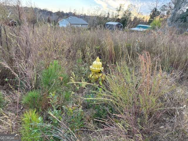243 Kendall Drive Griffin GA 30224
