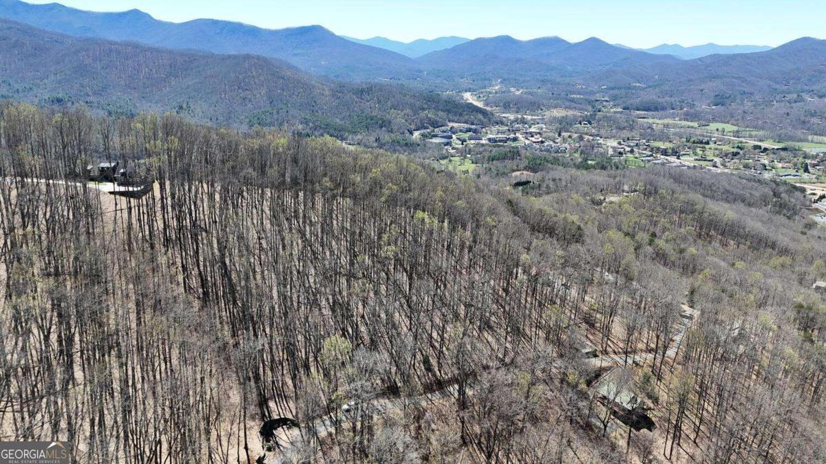Lot 100 Timberline Acres Young Harris GA 30582