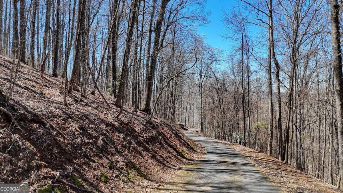 Lot 100 Timberline Acres Young Harris GA 30582