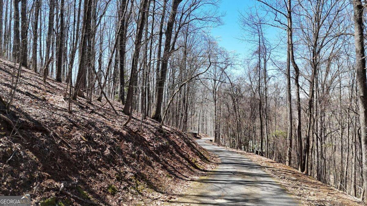 Lot 100 Timberline Acres Young Harris GA 30582