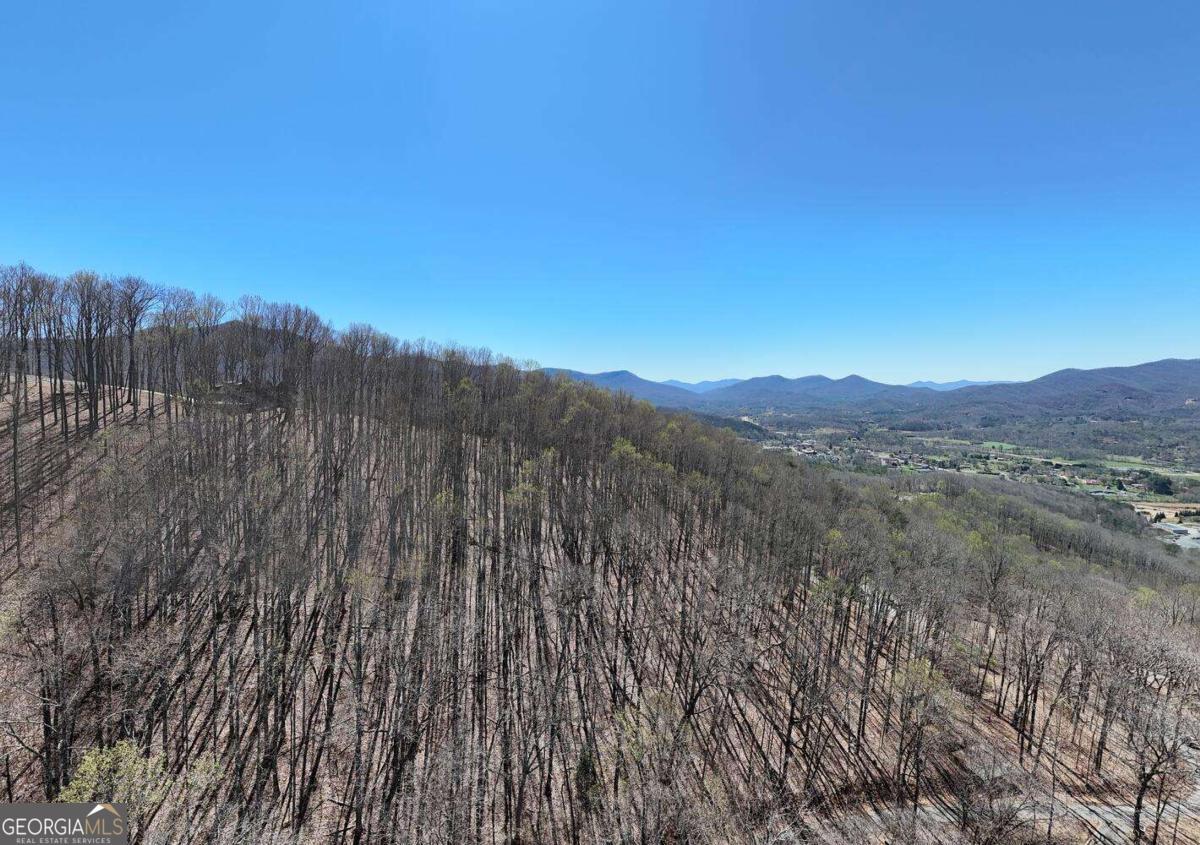 Lot 100 Timberline Acres Young Harris GA 30582