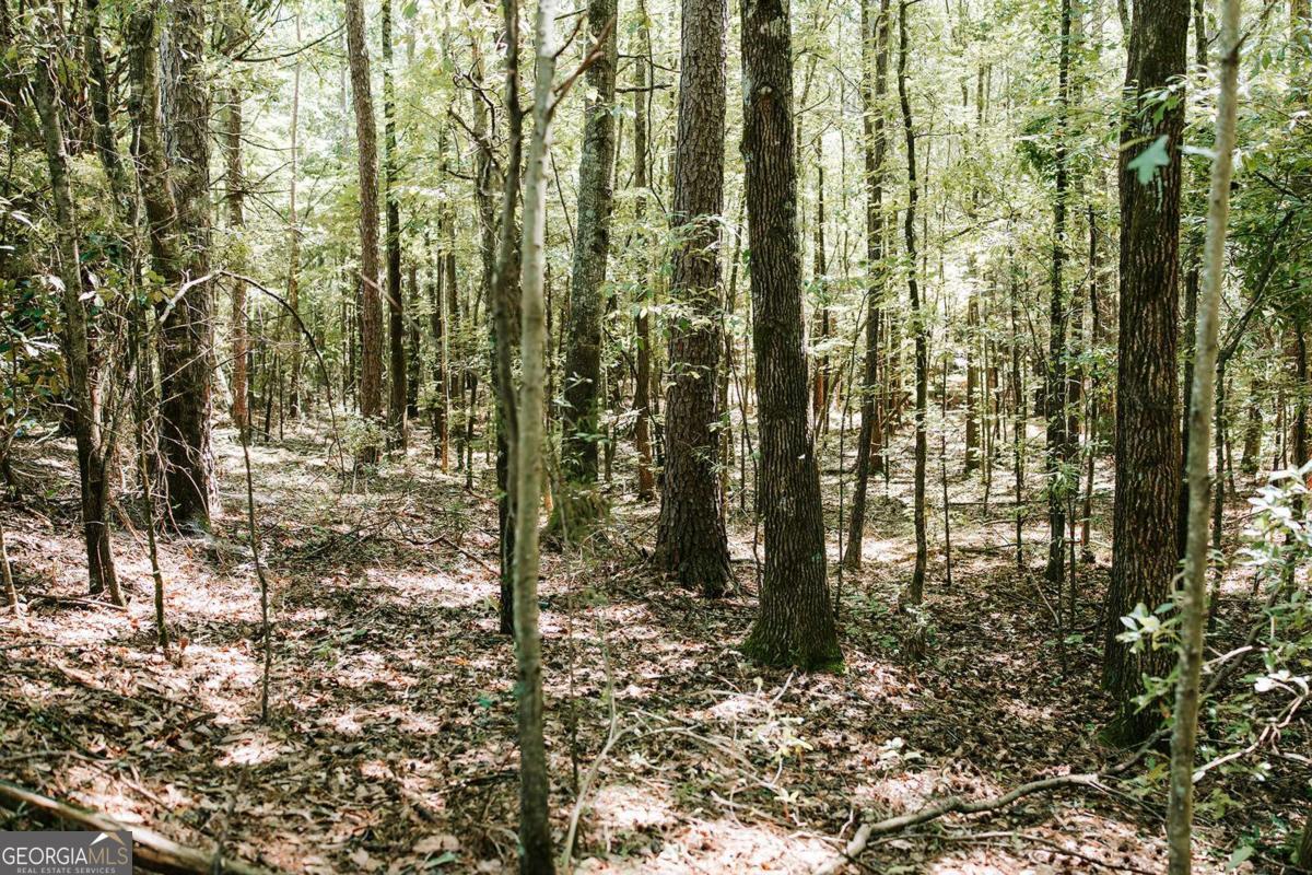 0 Lexington Carlton Road Lexington GA 30648