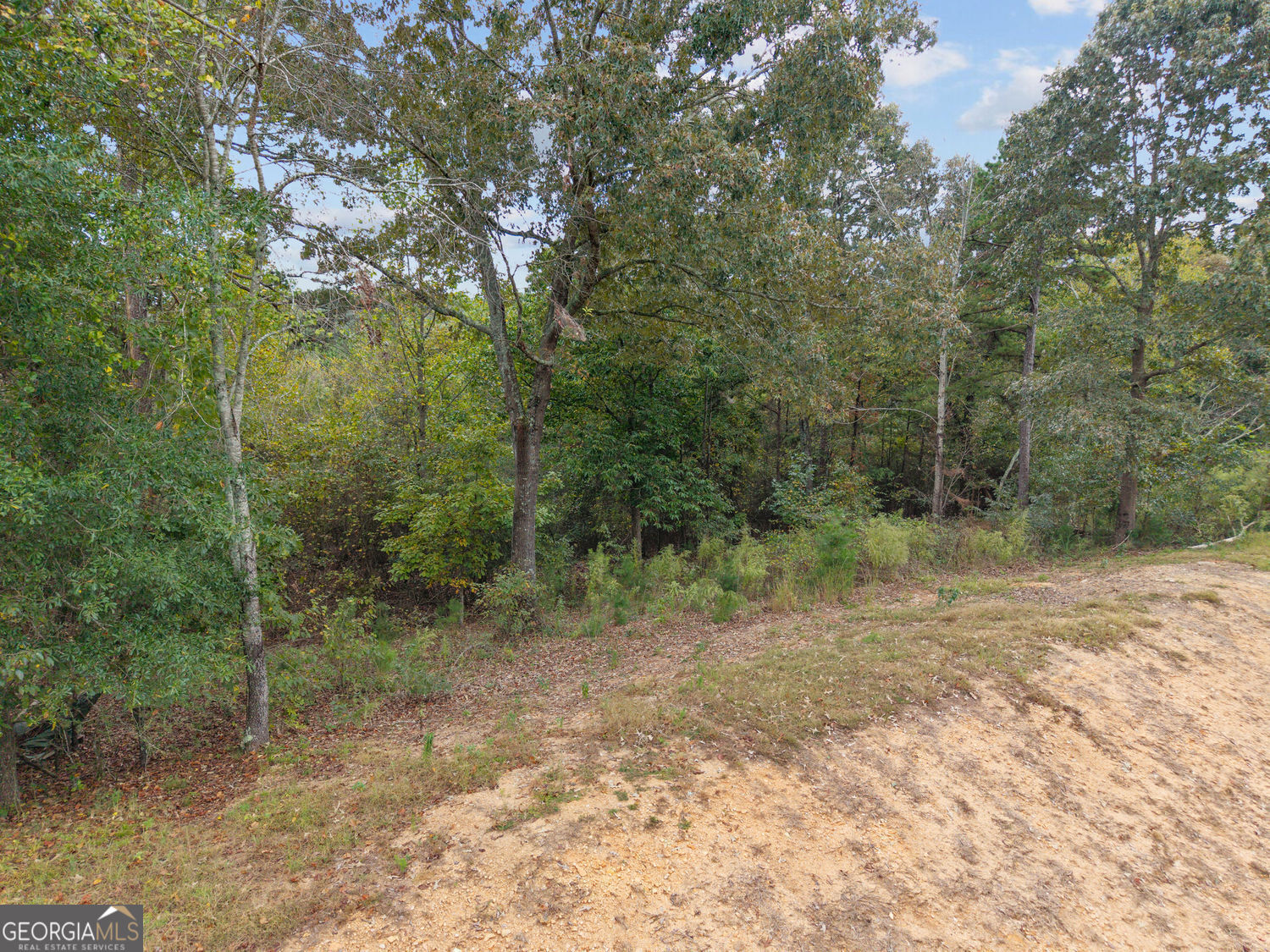 6930 Crestline Drive Dawsonville GA 30534
