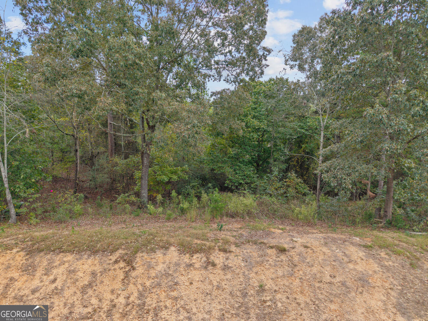 6930 Crestline Drive Dawsonville GA 30534