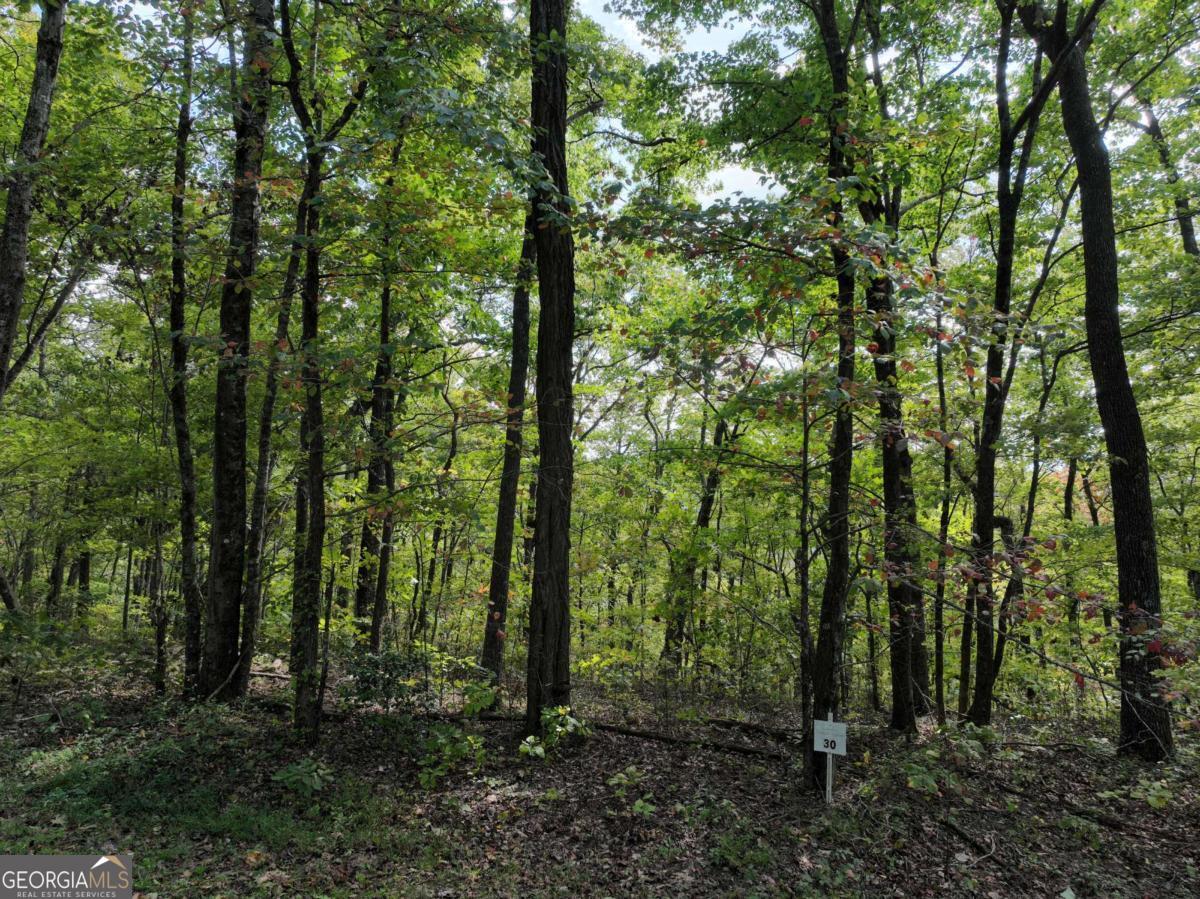 30 Andes Ridge Jasper GA 30143