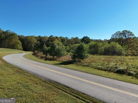 Tr 2 Arbor Acres Farm Road Blairsville GA 30512