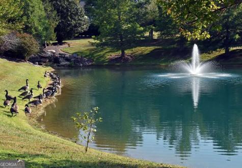 Tr 2 Arbor Acres Farm Road Blairsville GA 30512