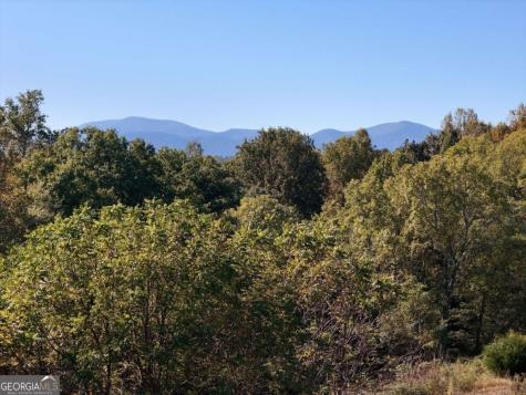 Tr 2 Arbor Acres Farm Road Blairsville GA 30512