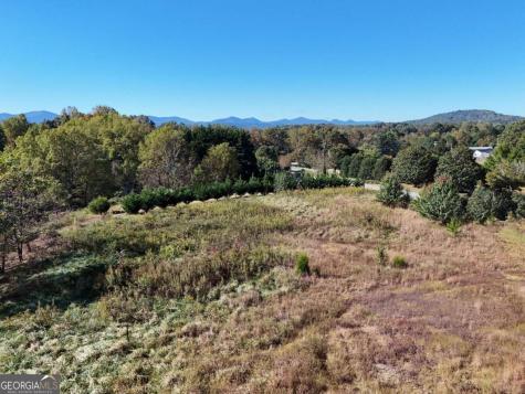 Tr 2 Arbor Acres Farm Road Blairsville GA 30512
